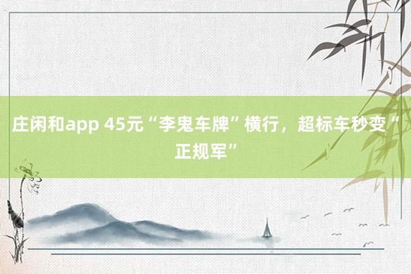 庄闲和app 45元“李鬼车牌”横行，超标车秒变“正规军”