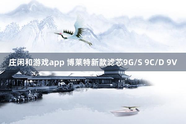 庄闲和游戏app 博莱特新款滤芯9G/S 9C/D 9V