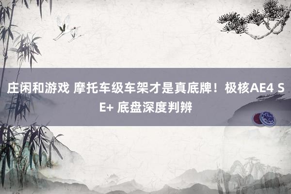庄闲和游戏 摩托车级车架才是真底牌！极核AE4 SE+ 底盘深度判辨