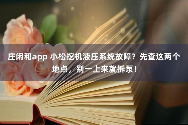 庄闲和app 小松挖机液压系统故障？先查这两个地点，别一上来就拆泵！