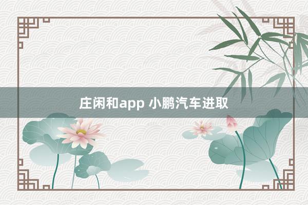 庄闲和app 小鹏汽车进取