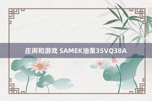 庄闲和游戏 SAMEK油泵35VQ38A