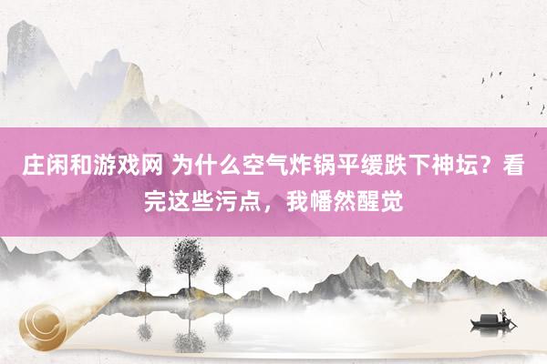 庄闲和游戏网 为什么空气炸锅平缓跌下神坛？看完这些污点，我幡然醒觉