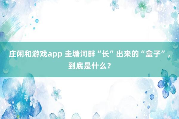 庄闲和游戏app 圭塘河畔“长”出来的“盒子”，到底是什么？