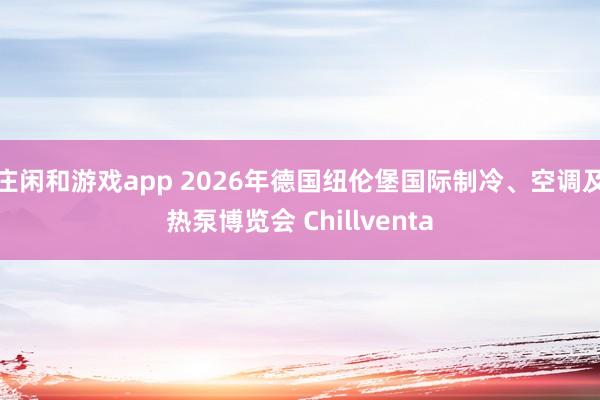 庄闲和游戏app 2026年德国纽伦堡国际制冷、空调及热泵博览会 Chillventa