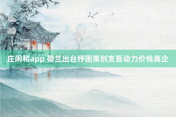 庄闲和app 荷兰出台纾困策划支吾动力价钱高企
